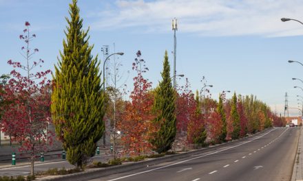 Madrid recuerda a los conductores la necesidad de extremar la prudencia durante los desplazamientos estivales