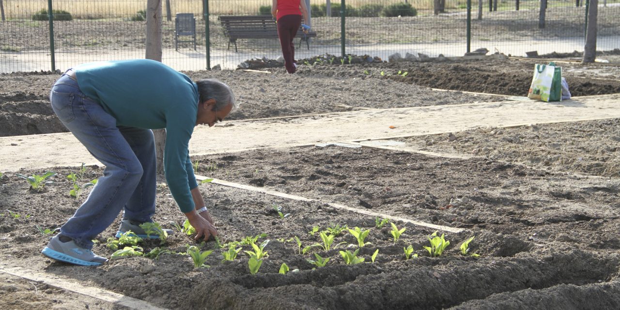 Los mayores de Leganés podrán solicitar los 65 huertos urbanos que oferta el Ayuntamiento