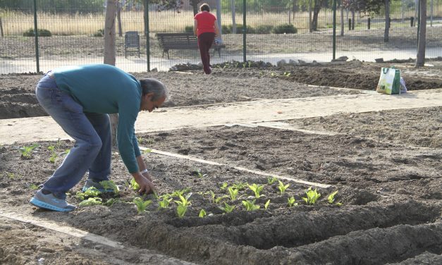 El Ayuntamiento da las llaves de los huertos de ocio urbano a los vecinos adjudicatarios de Leganés
