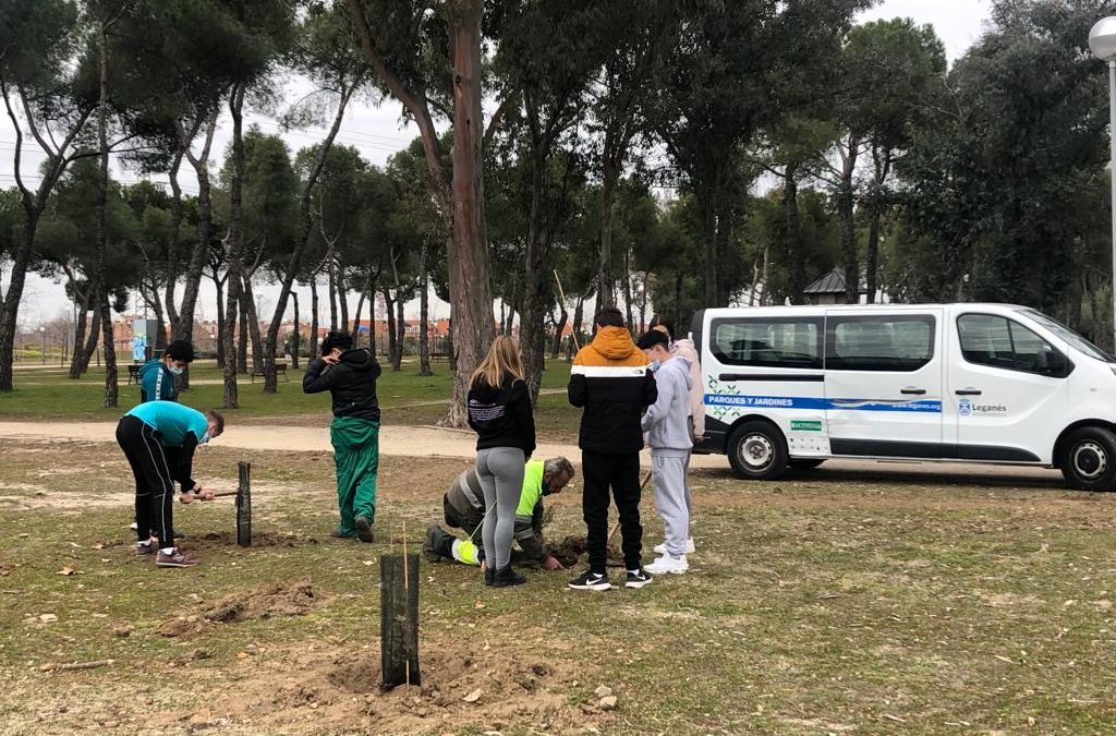 Estudiantes del IES Tierno Galván colaboran en la plantación de 150 árboles en el parque de Los Frailes