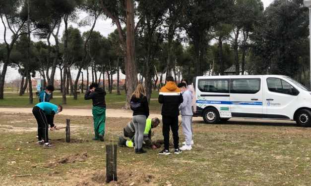 Estudiantes del IES Tierno Galván colaboran en la plantación de 150 árboles en el parque de Los Frailes