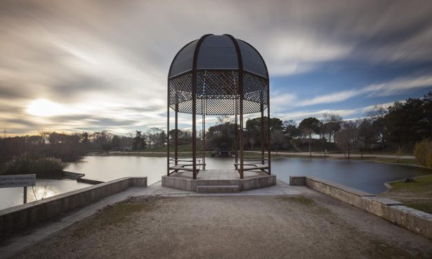Detectado un brote de gripe aviar en el Parque de Polvoranca