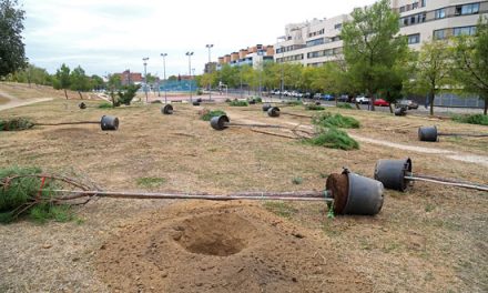 El Ayuntamiento de Leganés inicia el proyecto de plantación y reforestación de zonas perimetrales, corredores verdes y zonas ajardinadas