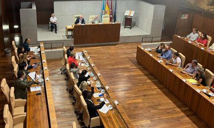 El Pleno del Ayuntamiento de Leganés aprueba subvencionar con casi un millón de euros a cinco entidades deportivas
