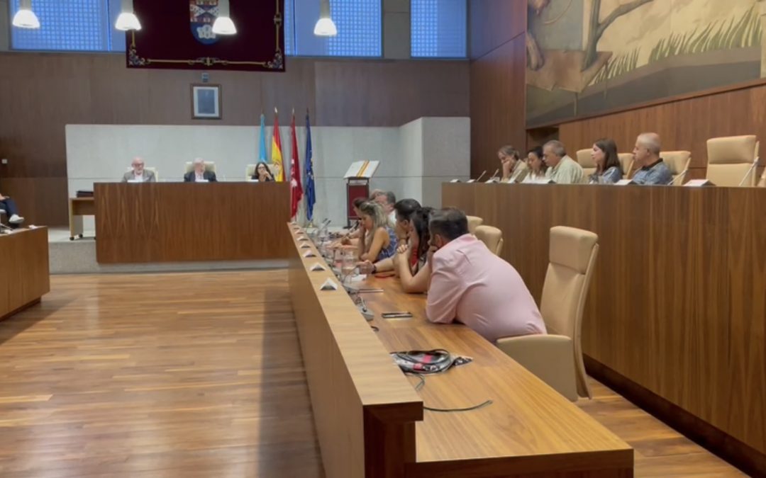 La oposición rechaza en Pleno ocho inversiones para mejoras en instalaciones deportivas, zonas verdes o rehabilitación de barrios