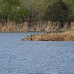 La Comunidad de Madrid celebra el 30 aniversario del Parque Regional del Sureste