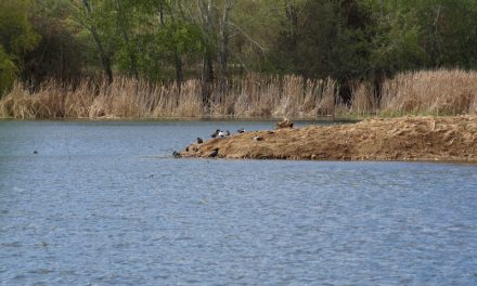 La Comunidad de Madrid celebra el 30 aniversario del Parque Regional del Sureste