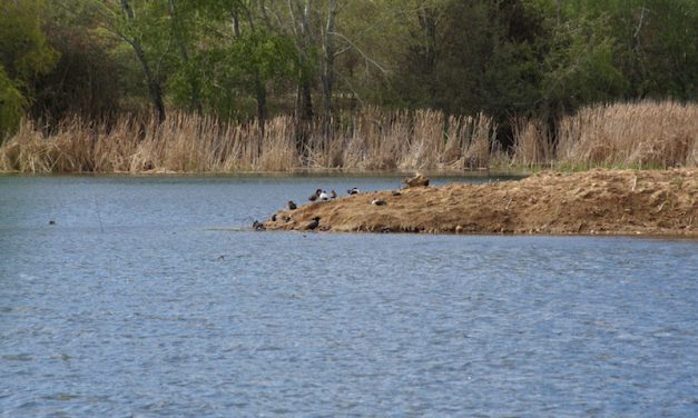 La Comunidad de Madrid celebra el 30 aniversario del Parque Regional del Sureste