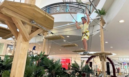 Llega a intu Xanadú ‘Tree Tops Adventure’, un circuito de aventuras con juegos de equilibrio y escalada