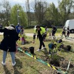 Leganés planta 700 árboles y organiza una plantación popular este domingo