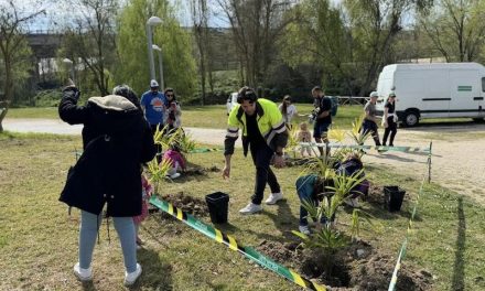 Leganés planta 700 árboles y organiza una plantación popular este domingo