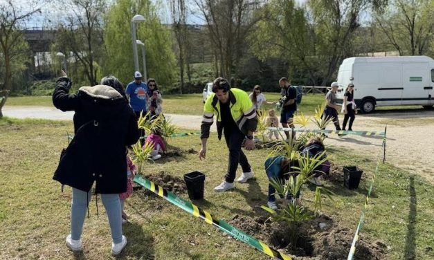 Leganés planta 700 árboles y organiza una plantación popular este domingo