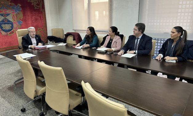 EMSULE estudia acudir a los tribunales por la ausencia reiterada de partidos de la oposición en su Consejo