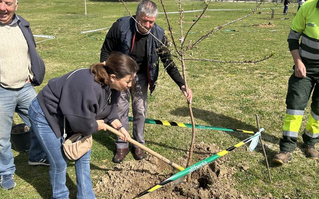 Leganés entra por primera vez en la red internacional de ciudades comprometidas con el arbolado urbano