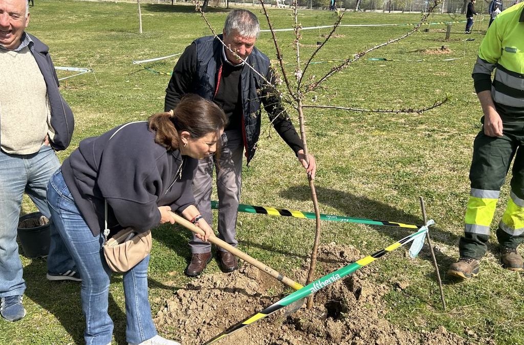 Leganés entra por primera vez en la red internacional de ciudades comprometidas con el arbolado urbano