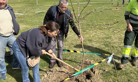 Leganés entra por primera vez en la red internacional de ciudades comprometidas con el arbolado urbano