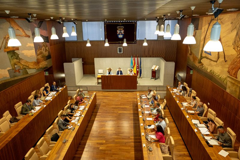 El Ayuntamiento de Leganés suspende su Pleno Ordinario como muestra de respeto por el trágico accidente de tren de Toledo